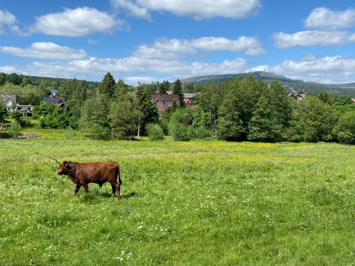 Berglage - Das Urlaubzuhause Braunlage Extérieur photo